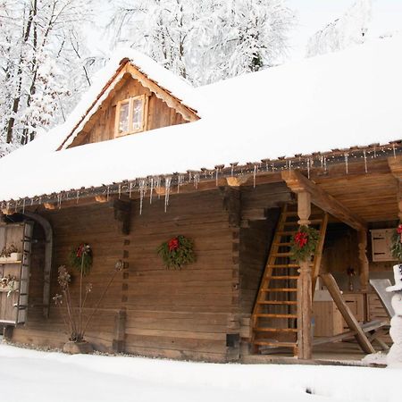 Apartma Kasca Домжале Екстер'єр фото